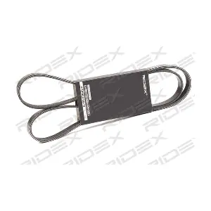 305P0417 RIDEX