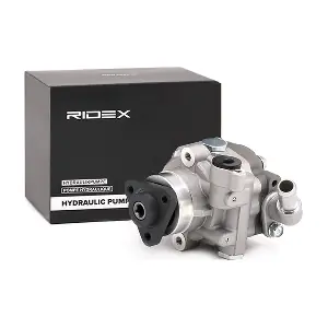 RIDEX 12H0093