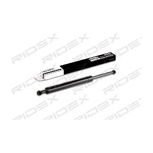 219G0129 RIDEX
