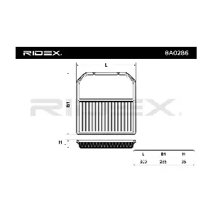 RIDEX 8A0286