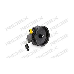 12H0021 RIDEX