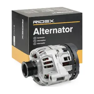 4G1079 RIDEX