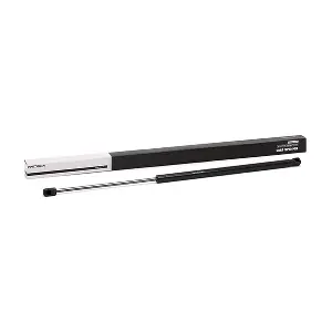 219G0460 RIDEX