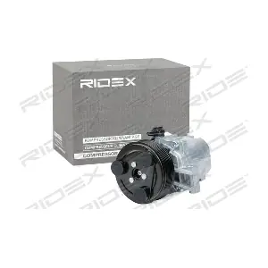 447K0529 RIDEX