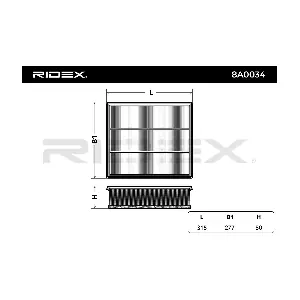 RIDEX 8A0034