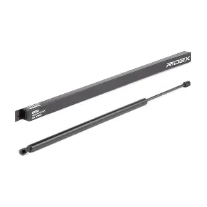 RIDEX 219G0266
