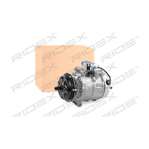 RIDEX 447K0419