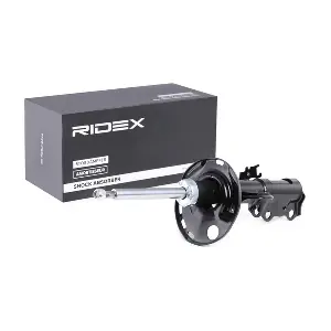 854S1315 RIDEX
