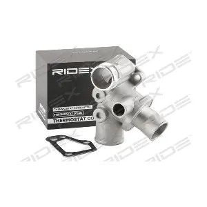 316T0221 RIDEX