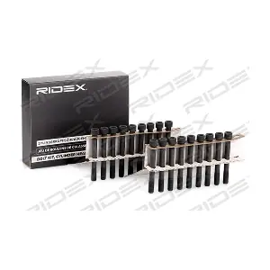1217B0056 RIDEX