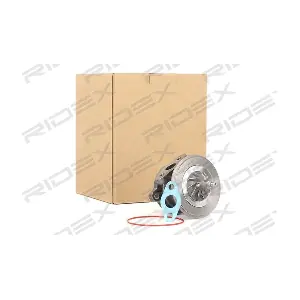 4973C0013 RIDEX