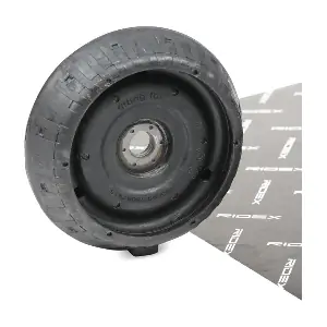 RIDEX 1180S0046