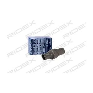 1189S0010 RIDEX