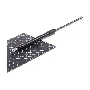 219G0106 RIDEX