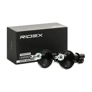 854S2557 RIDEX
