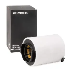 RIDEX 8A0296