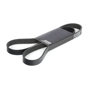 RIDEX 305P0144