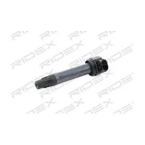 689C0324 RIDEX