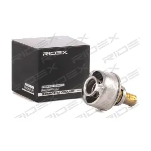 316T0077 RIDEX