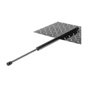 RIDEX 219G0368