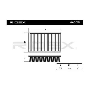 RIDEX 8A0015