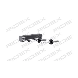 854S1820 RIDEX