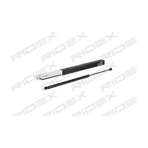 219G0641 RIDEX