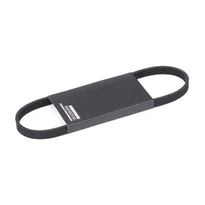 RIDEX 305P0429