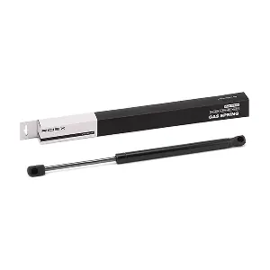RIDEX 219G0809