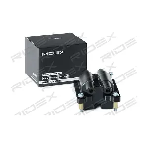 689C0399 RIDEX