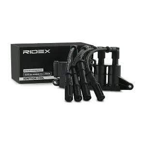 RIDEX 689C0290