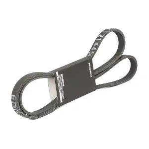 305P0209 RIDEX