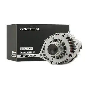 4G0820 RIDEX