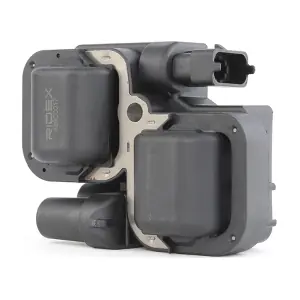 RIDEX 689C0017