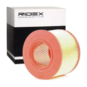 8A0412 RIDEX
