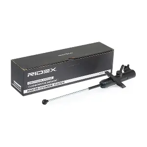 RIDEX 234M0017