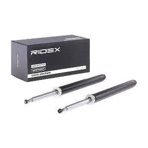 854S1672 RIDEX