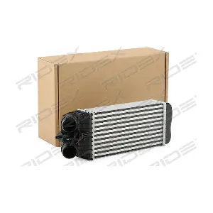 468I0135 RIDEX