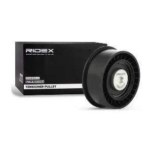 RIDEX 313D0062