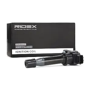 689C0246 RIDEX