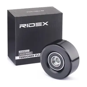 313D0048 RIDEX