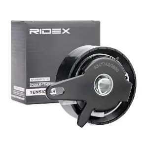 RIDEX 308T0031