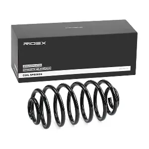 188C0020 RIDEX