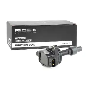 689C0032 RIDEX