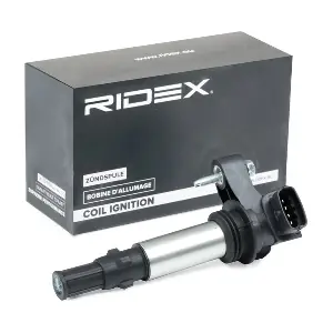RIDEX 689C0018
