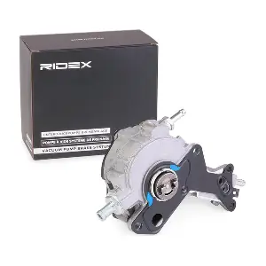 RIDEX 387V0011