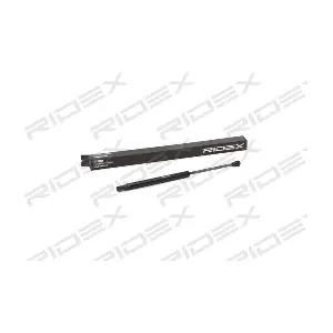 219G0843 RIDEX