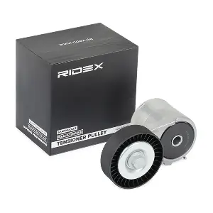 310T0025 RIDEX