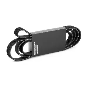 305P0490 RIDEX
