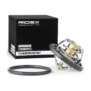 RIDEX 316T0020